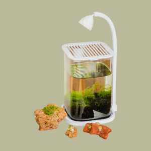 Mini Aquarium